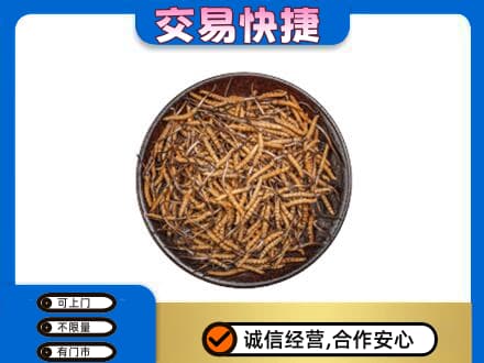 广州越秀区高价回收散虫草