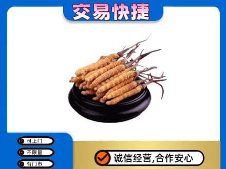 广州越秀区回收冬虫夏草多少钱每克